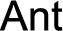 Ant