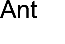 Ant