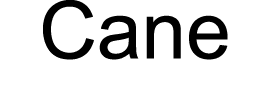 Cane