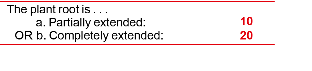 The plant root is . . . a. Partially extended: OR b. Completely extended:,10 20